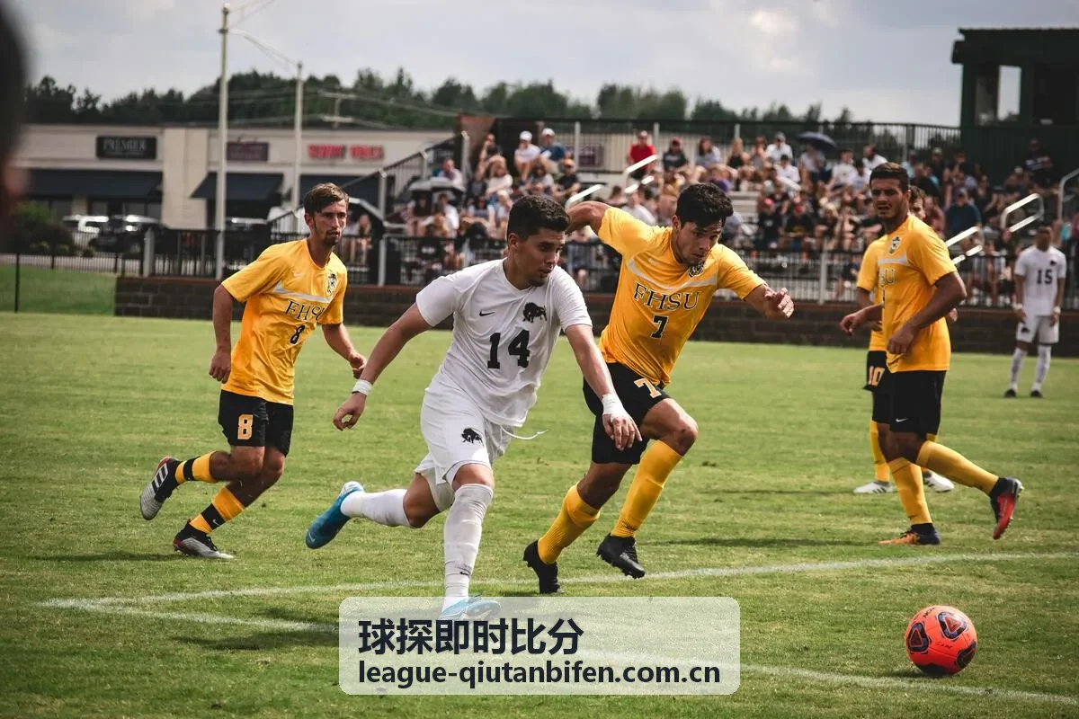 球探即时比分体育情报中心频道